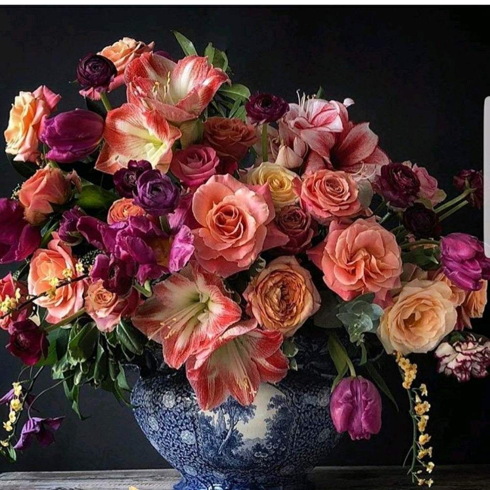 Meet your Posher, Mia